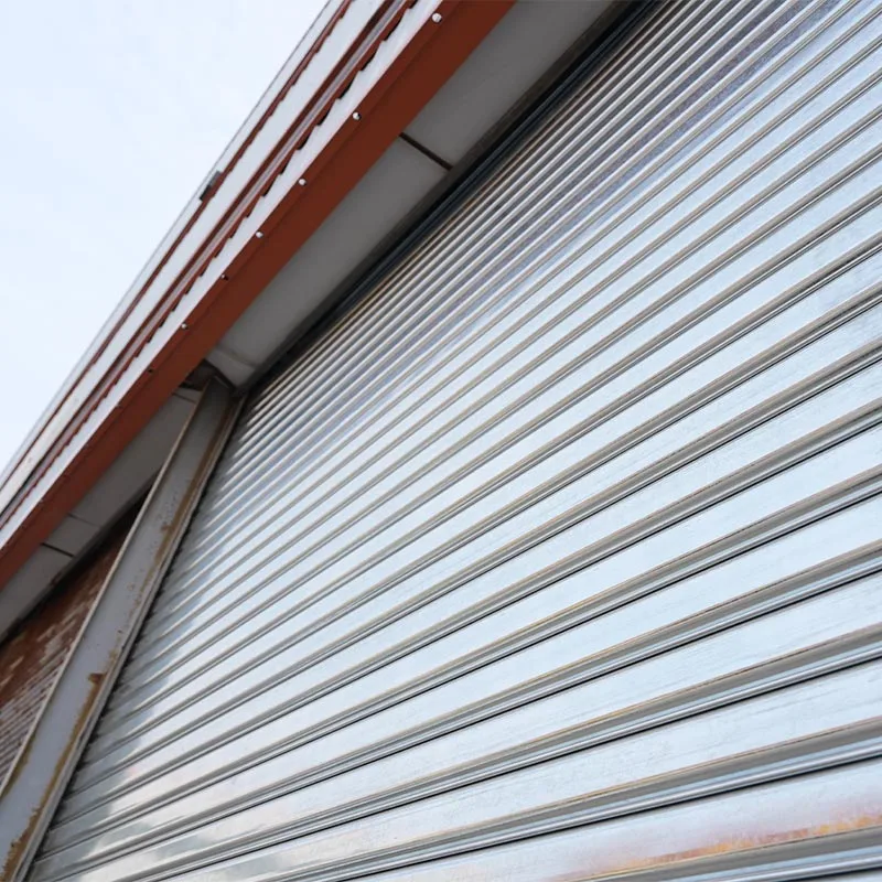 Remote Control Roller Garage Door